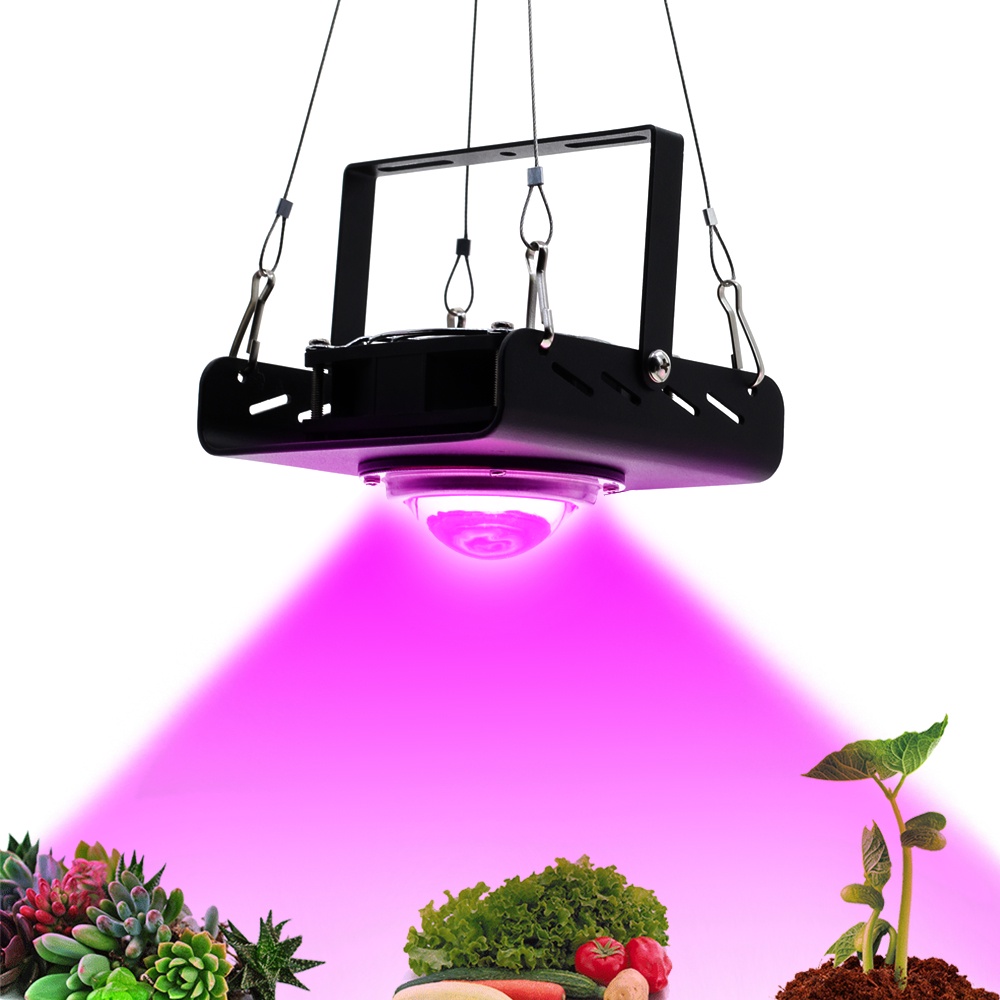 500W LED Grow Light 220V ประสิทธิภาพการส่องสว่างสูง COB Full Spectrum ...