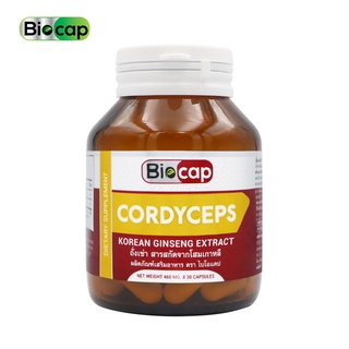 ถั่งเช่า สารสกัดจากโสมเกาหลี ไบโอแคป Cordyceps Korean Ginseng Extract Biocap โสมเกาหลี ถังเช่า