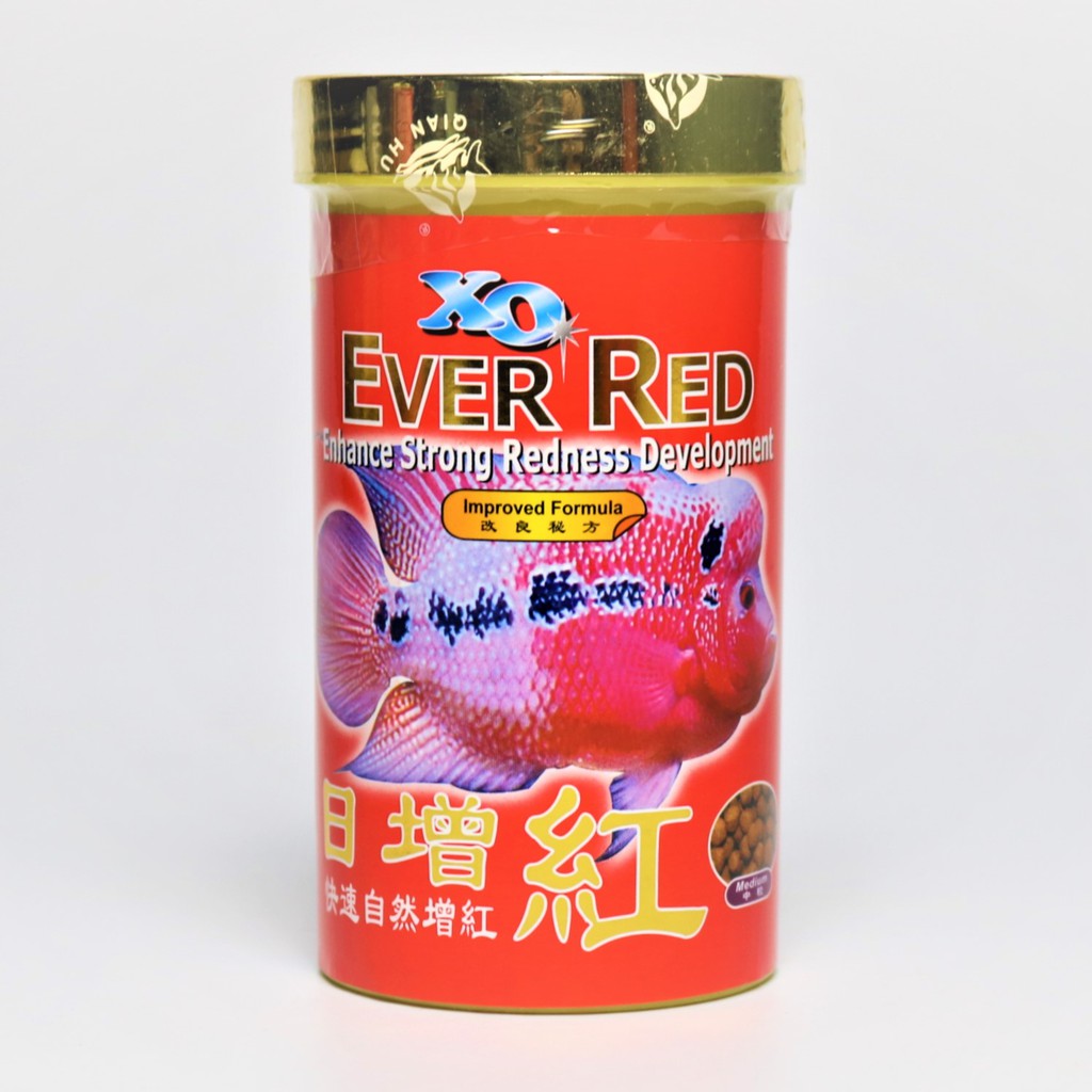 ภาพหน้าปกสินค้าXO EVER RED (อาหารปลาหมอสี สูตรเร่งสี) จากร้าน mtt_trading บน Shopee