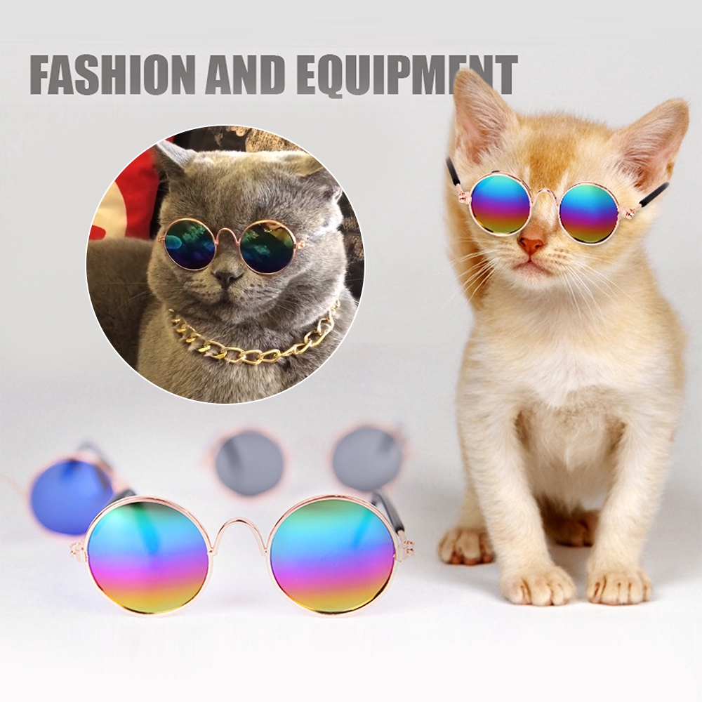 ภาพหน้าปกสินค้าแว่นตาแมวน่ารัก 9 สีสำหรับสัตว์เลี้ยง