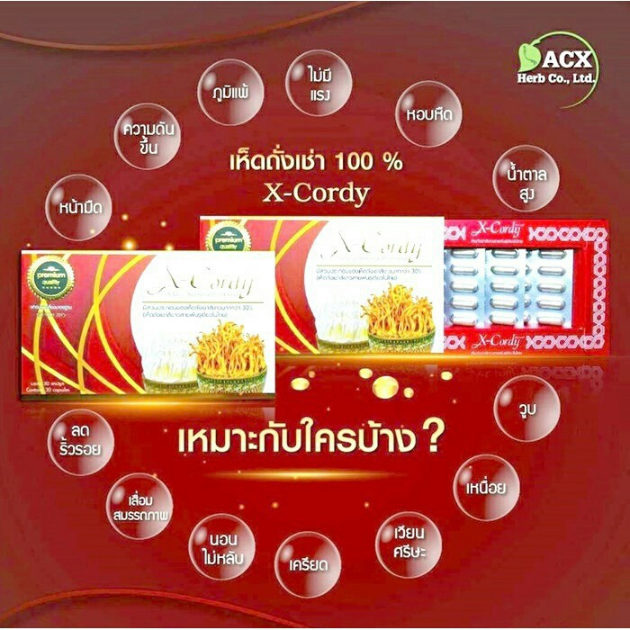 x-cordy-เอ็กซ์-คอร์ดี้-อาหารเสริมจากเห็ด-ถั่งเช่า-แท้-100-x-cordy-เอ็กซ์-คอร์ดี้