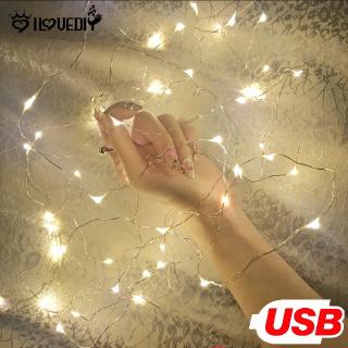 1M 5M 10M Led Fairy Lights / USB Powered Silver Wire Starry Fairy Lights
