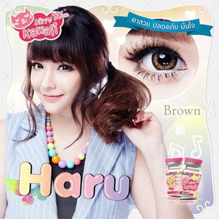 💖 Kitty Kawaii Haru brown gray black สายตา -00 -225  Contactlens บิ๊กอาย คอนแทคเลนส์ ราคาถูก แถมตลับฟรี