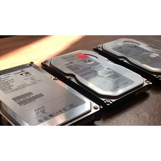 ฮาร์ดดิส แบรนด์ Seagate Western Digital (WD) มือสอง