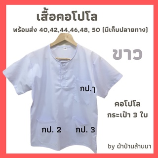 ภาพขนาดย่อของภาพหน้าปกสินค้าเสื้อคอโปโล size 40-50 จากร้าน phapanlanna2021 บน Shopee