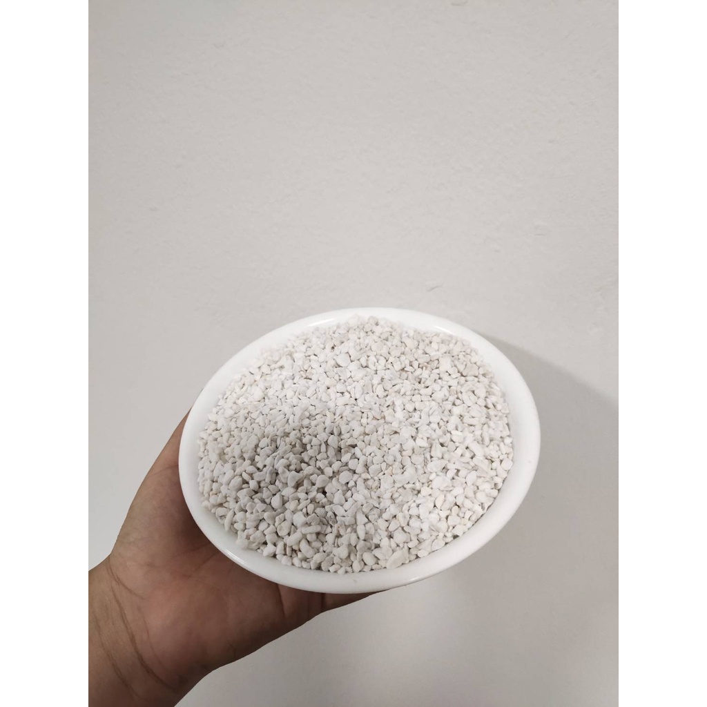 เพอร์ไลท์-perlite-ถูกๆ-แบ่งขาย-50-กรัม-ชั่งน้ำหนักได้เยอะกว่าลิตร-ขนาด-4-8-มม