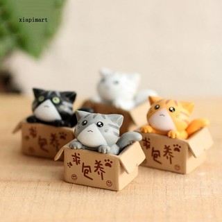 สินค้า XPM_Lovely Box Cartoon Cat Miniature Landscape Decor Bonsai Resin Crafts Ornament