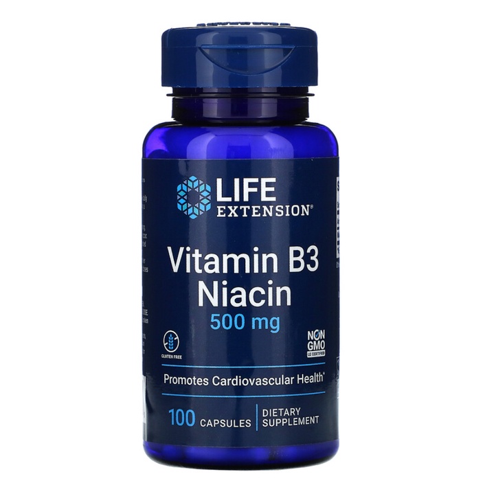Life Extension Vitamin B3 Niacin 500 mg 100 Capsules | วิตามินบี 3 ไนอา ...