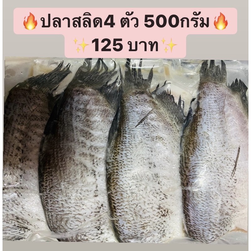 ปลาสลิดสด-ราคาถูก