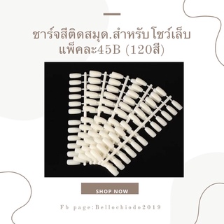 ชาร์จสีติดสมุด สำหรับโชว์เล็บ (120สี)