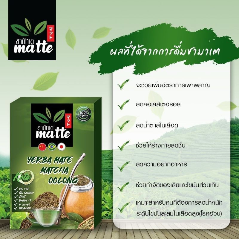 โปร-4-แถม1ชามัทเต-ชา-yerba-mate-4-กล่อง-แถมชาฟรี-1-กล่อง-แถมชวดชงชา-เร่งการเผาผลาญ-ลดไขมัน-ลดน้ำหนัก-ชาสมุนไพร