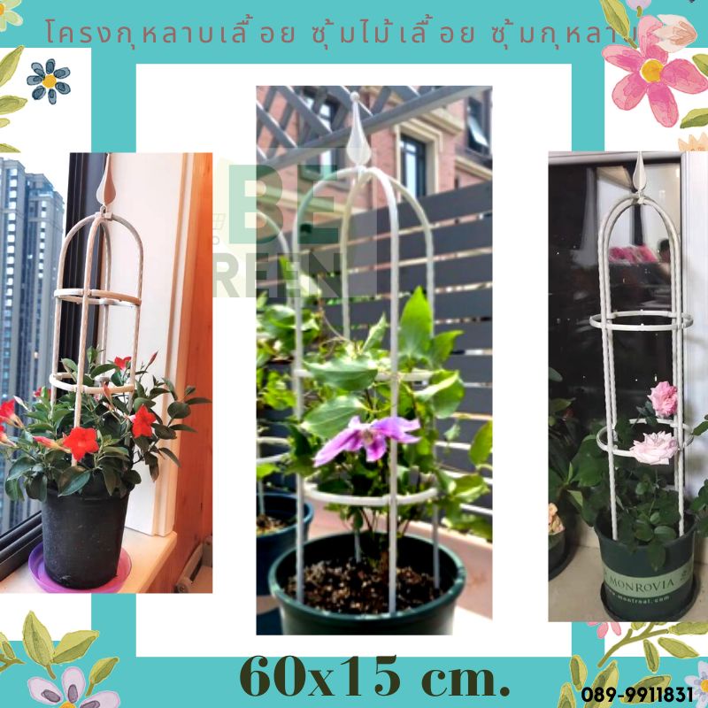 ซุ้มไม้เลื้อย-สีสวย-สูง60ซม-โครงไม้เลื้อย-ซุ้มกุหลาบ-ซุ้มกุหลาบเลื้อย-ทนทานโครงเหล็กไม้เลื้อย-โครงกุหลาบ-ซุ้มดอกไม้