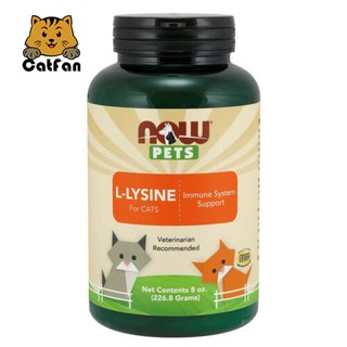 พร้อมส่ง NOW Pets L-Lysine Powder 15กรัม แบบผง กระตุ้นภูมิสำหรับแมวภูมิตก ป่วย หวัด หัด เอดส์ ติดเชื้อ พักฟื้น Exp.10/25