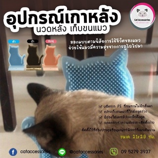 Cat Accessories แท่นเกาหลังแมว แปรงหวีขนแมว ของเล่นแมว แปรงติดประตู ขนาด 21x29 ซม. มีให้เลือก 3 สี แถมฟรีแคทนิปแมว