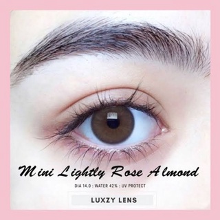 LightlyRoseAlmondBrownyLuxzyLensเลนส์แบบดิวอริศราContactlensขนาดเท่าตา