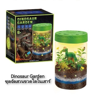 Dinosaur Garden ชุดจัดสวนขวดไดโนเสาร์