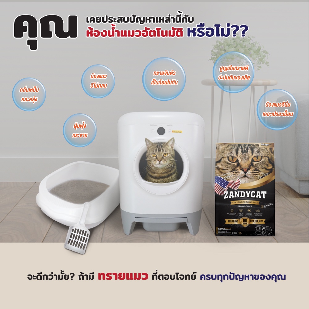 ลดล้างสต๊อค-6ลิตร-zandycat-ทรายแมวภูเขาไฟ-ทรายแมว-อัลทิเมทพรีเมียมใช้ได้กับห้องน้ำแมวแมวอัตโนมัติและกระบะทรายแมว