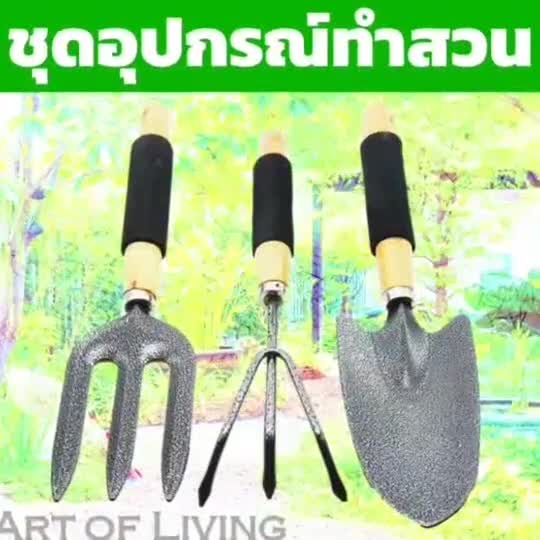 ชุดอุปกรณ์ทำสวน-เพาะกล้า-เครื่องมือทำสวน-อุปกรณ์ปลูกผัก-เซ็ท-3-ชิ้น-พรั่ว-ส้อม-คราด-ปลูกผัก-เพาะกล้า-ทำสวน