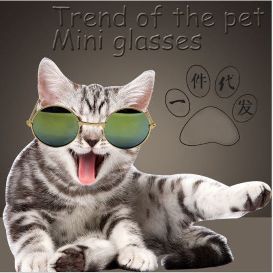 ภาพหน้าปกสินค้า️พร้อมส่ง ️ แว่นตาแมว แว่นแมว แว่นตาสัตว์เลี้ยง แว่นแฟชั่น จากร้าน catshop.me บน Shopee
