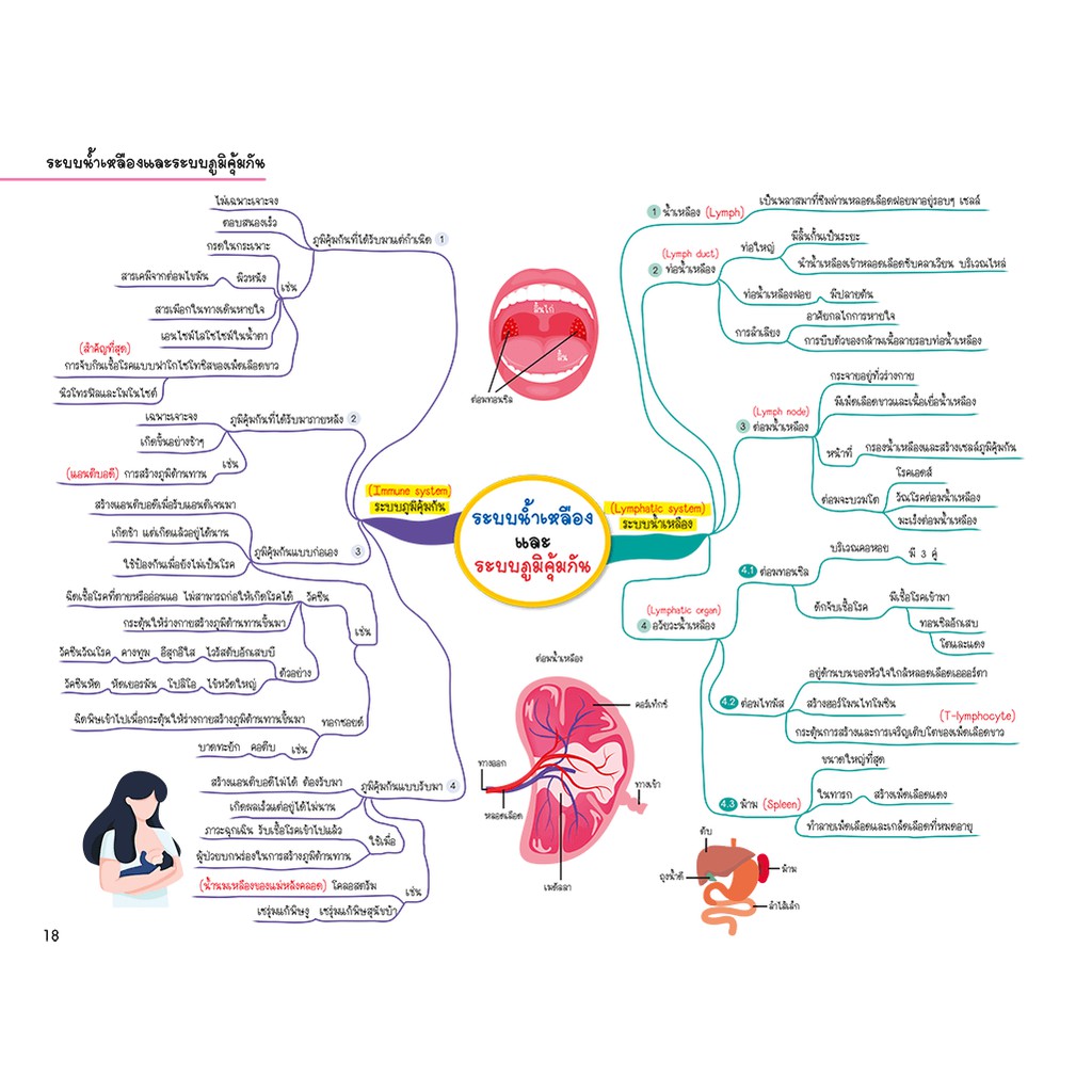 mind-map-มัธยมต้น-สรุปเนื้อหาเน้นๆ-วิชาหลัก-ภาษาไทย-ภาษาอังกฤษ-สังคม-วิทยาศาสตร์-คณิตศาสตร์