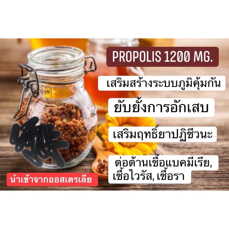 พรอพอลิส-propolis-แผลอักเสบ-แผลศัลย์-เป็นสิว-แผลเบาหวาน-ภูมิแพ้