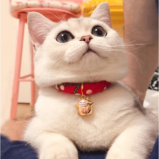 AL-066-2 ปลอกคอแมว หมา สุนัข สัตว์เลี้ยง กระดิ่ง สไตล์ญี่ปุ่น Pet Collar สร้อยคอแมว ปลอกคอญี่ปุ่น 🔥 พร้อมส่ง 🔥