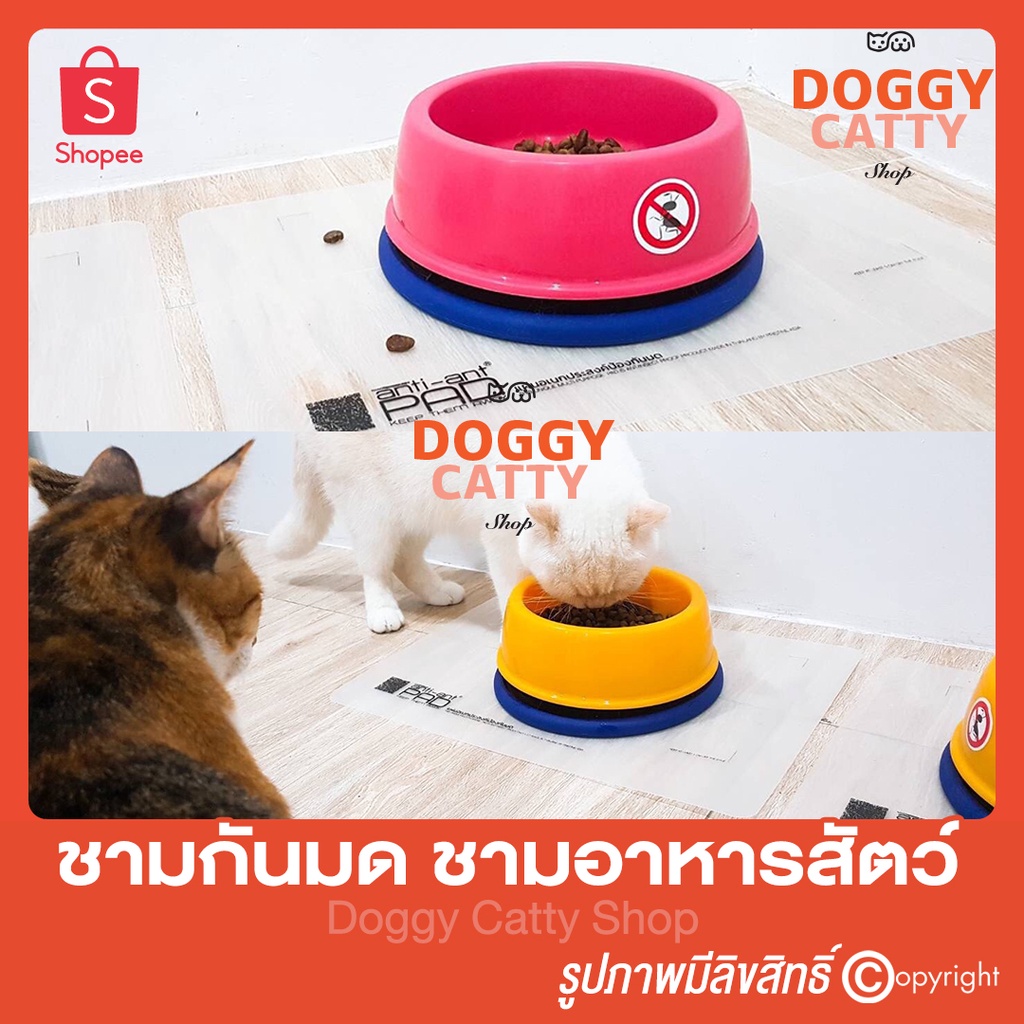 ชามกันมด-กันมด-no-ant-pet-bowl-ชามอาหารสุนัข-ชามอาหารแมว