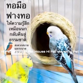 🐾DanDan🐾 Birds nest บ้านนก นกแก้วขนาดเล็ก ฟอพัส  เลิฟเบิด หงหยก มีพร้อมส่ง