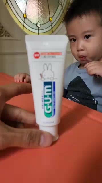 gum-kids-ยาสีฟันเด็ก-the-miffy-แปรงขจัดคราบแบคทีเรียและป้องกันฟันผุ-ยาสีฟันรสมิ้นท์-70g-แปรงสีฟันเด็กอายุ-1-5-ขวบ