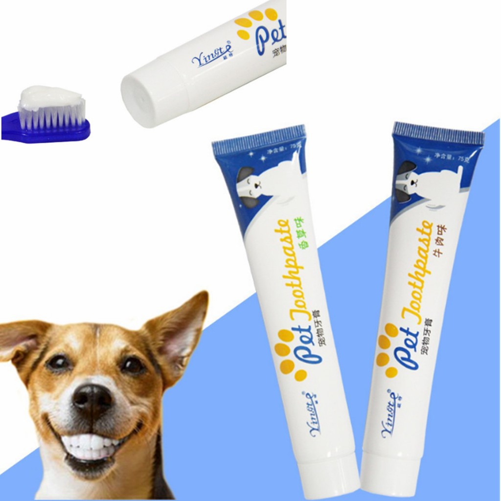 รูปภาพของยาสีฟัน ทำความสะอาดปากและฟัน เพื่อสุขภาพ สำหรับสุนัขลองเช็คราคา