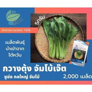 ผักกาดกวางตุ้ง จัมโบ้เจ๊ต (Pak Choy)