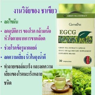 egcg-maxx-สารสกัดจากชาเขียวเข้มข้น-ลดไขมัน-ต้านอนุมูลอิสระ-30-แคปซูล