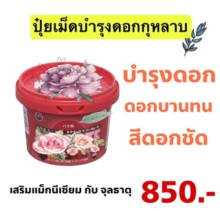 สินค้า 🔥 พร้อมส่ง 🔥 ปุ๋ยเม็ดบำรุงดอกกุหลาบ 500 กรัม สีดอกชัด ฟอร์มดอกดี