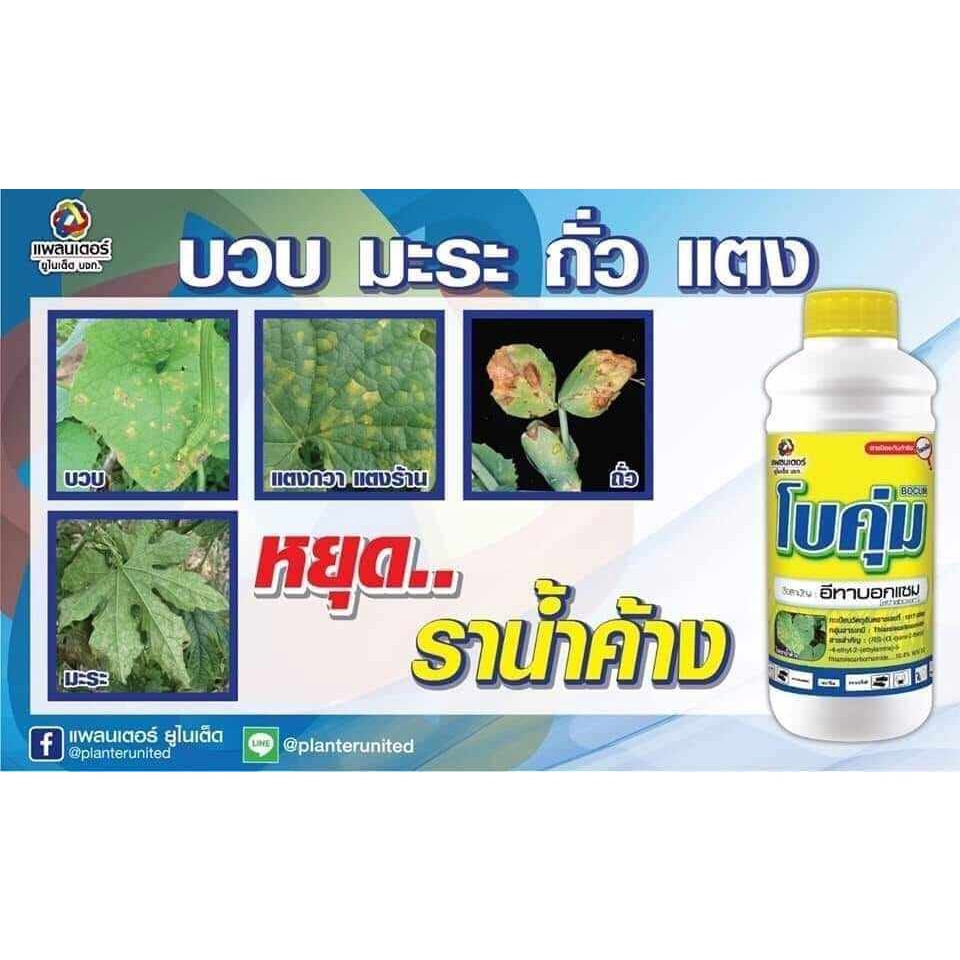 ยกลัง-โบคุ่ม-อีทาบอกแซม-10-4-w-v-sc-ขนาด-500-ซีซี-12-ขวด