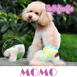 ภาพหน้าปกสินค้าMOMO โอบิสุนัขตัวเมีย สตอเบอรี่ แบบซักได้โอบิสุนัข (DA055) โอบิสุนัขเพศเมีย โอบิสุนัขซักได้ แผ่นคาดซับฉี่สุนัขตัวเมีย ที่เกี่ยวข้อง