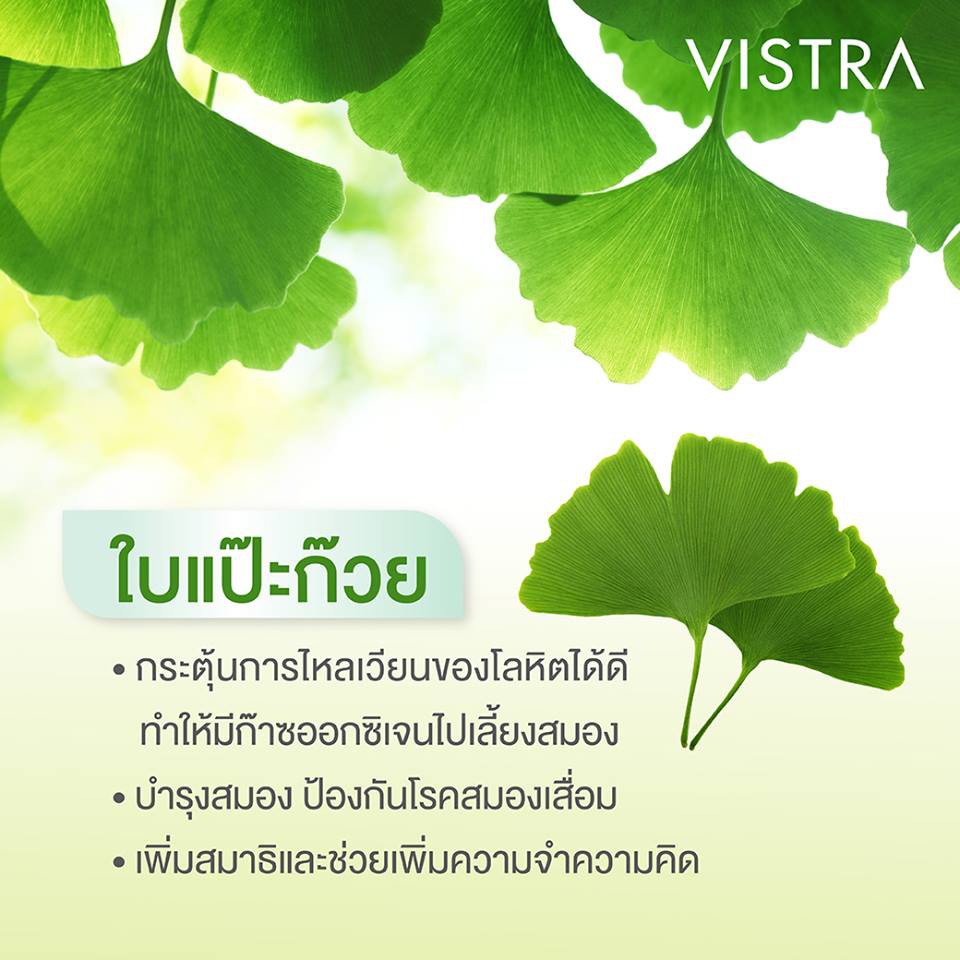 ภาพสินค้าVISTRA Ginkgo สารสกัดจากใบแปะก๊วย 120 Ml. (30 เม็ด) จากร้าน inno4life บน Shopee ภาพที่ 2