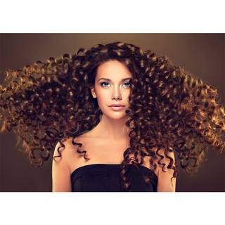 โปสเตอร์ภาพทรงผมผู้หญิง ทรงผม Beautiful Girl Curly Hairstyle  ขนาด A3 (แนวนอน 200g.)  P-2142