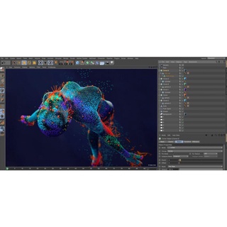ภาพขนาดย่อของภาพหน้าปกสินค้าCINEMA 4D Studio 2023 Win  Mac intel M1 Full LIfetime โปรแกรมออกแบบโมเดล 3D และ Animation จากร้าน nantawathem บน Shopee