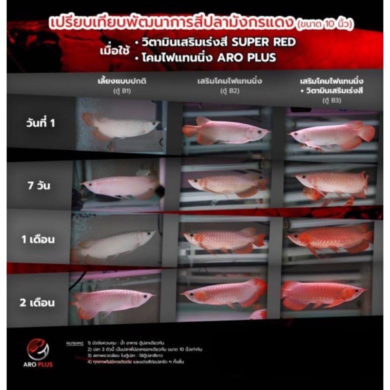 aroplus-red-burn-วิตามินเร่งสีสำหรับปลามังกรแดง-10-g-แบบผงคลุก-ปลอดภัยกับตัวปลา