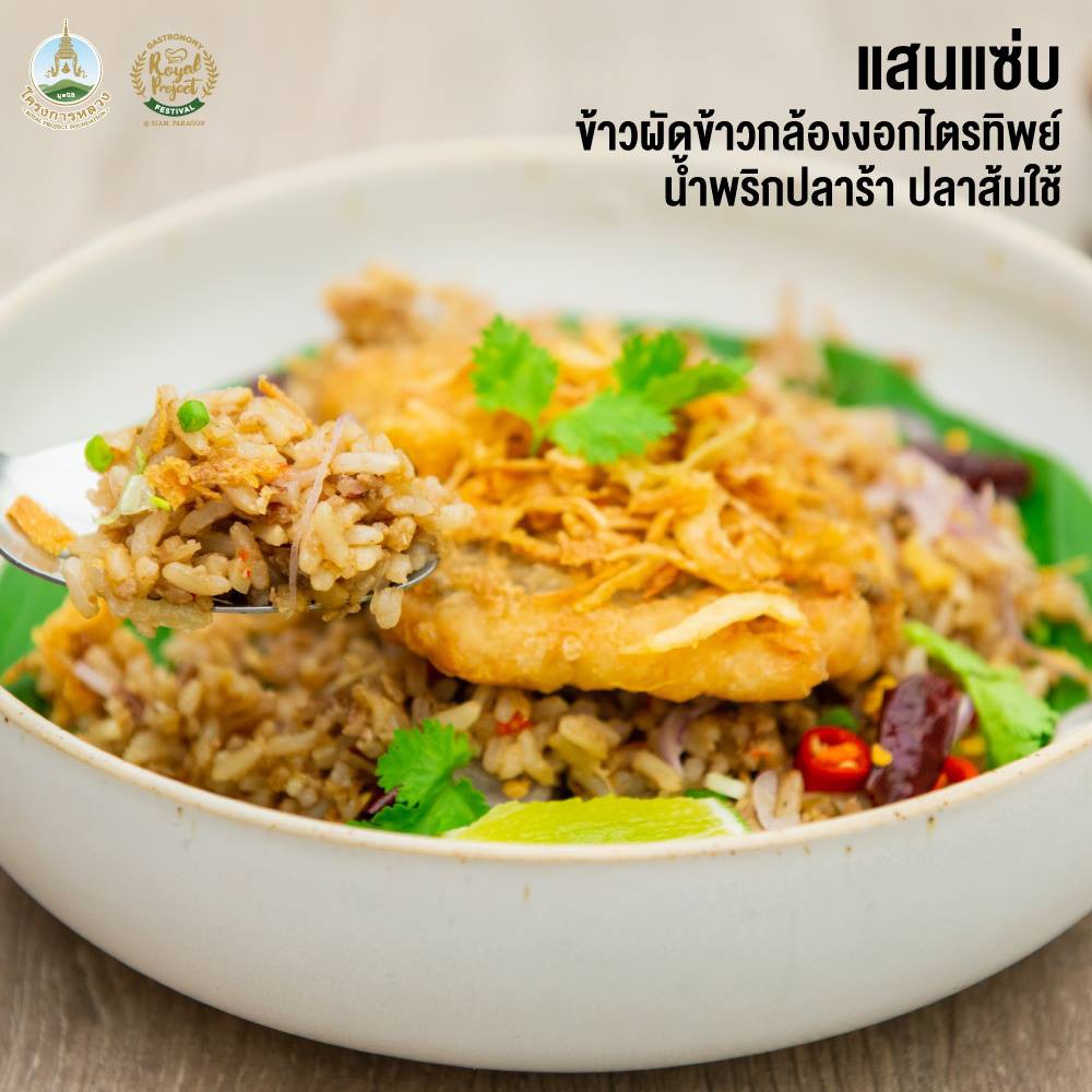 ข้าวกล้องงอกไตรทิพย์-ดอยคำ-ข้าวกล้องเพาะงอก-3-ชนิด-ได้แก่-ข้าวกล้องหอมมะลิงอก-หอมนิลงอก-และมันปูงอก-หอม-นุ่ม