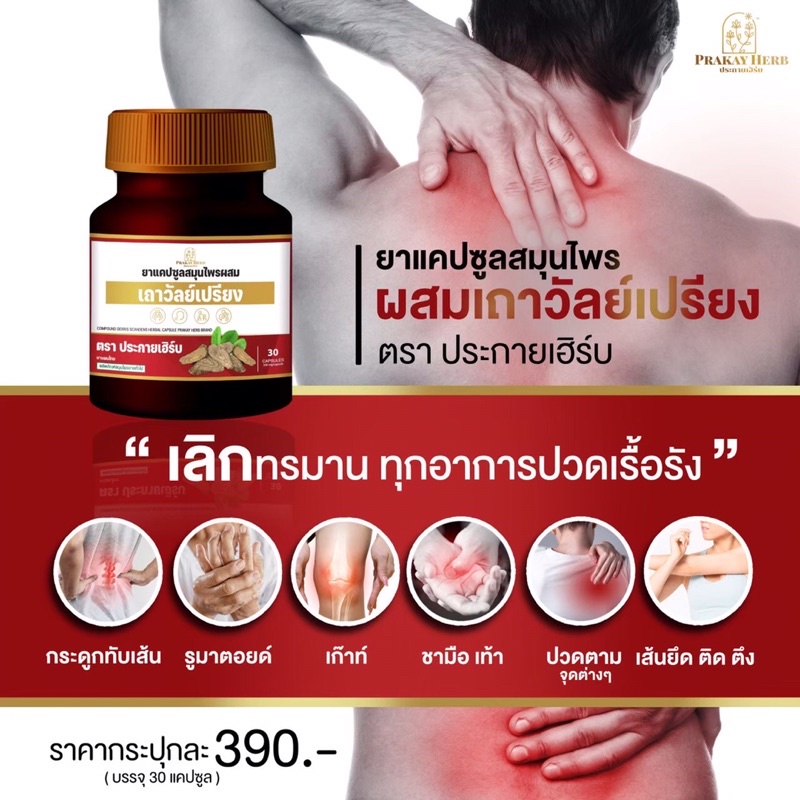 ส่งฟรี-ยาแก้กษัยเส้น-สมุนไพรแก้ปวด-สมุนไพรเถาวัลย์เปรียง-ปวดไหล่-ออฟฟิตซินโดรม-ปวดเข่า-ปวดหลัง-กระดูกทับเส้น-ปวดข้อ