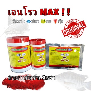 เอนโรว MAX enro รักษาแผลตามตัว กกหูบวม ท้องบวม ตาโปน ท้องบวม จากเชื้อแบคทีเรีย เอนโรฟล็อกซาซิน ปลาดุก ปลานิล ปลาทั