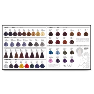 ✅ส่งไว✅แผงสี ชาร์ตสีผม ตัวอย่างสีผม นิกาโอะ (ไม่ใช่ครีมย้อมผม) | Nigao Hair Color Shade Chart