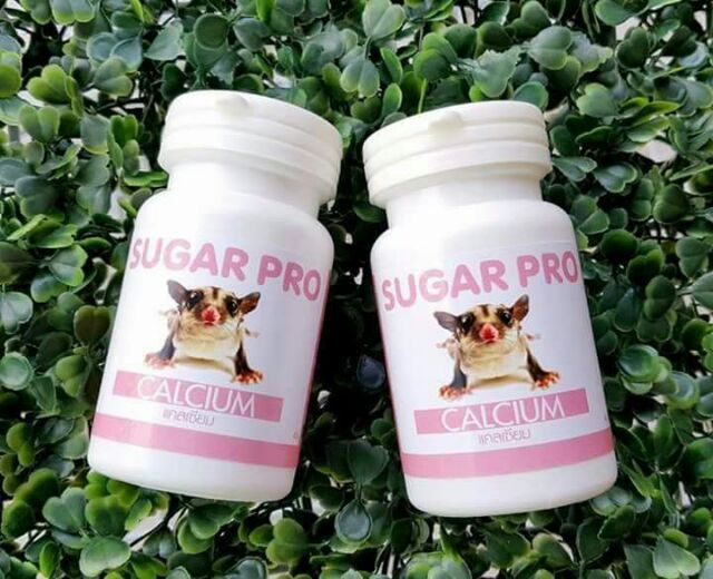 วิตามิน-แคลเซียม-โปรตีน-sugar-pro-สำหรับสัตว์เลี้ยง