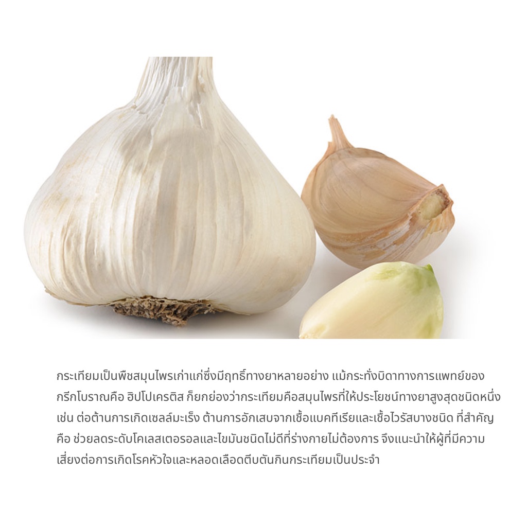 ภาพสินค้าGarlic Nutrilite amway ดูแลหัวใจ และหลอดเลือด ไม่สต็อก ️ฉลากไทย กระเทียม นิวทริไลท์ แอมเวย์ จากร้าน qualityguarantee.official บน Shopee ภาพที่ 4