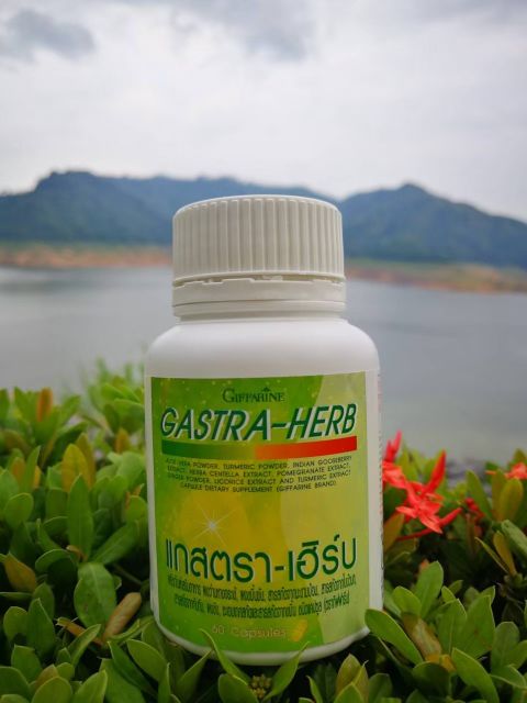 แกสตรา-เฮริบ-กิฟฟารีน-สารสกัดจากสมุนไพร-7ชนิด-gastra-herb-giffarine