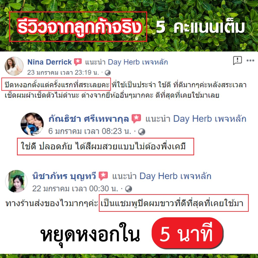 dayherb-แชมพูปิดผมขาว-สมุนไพรแท้-ปิดหงอก-ลดหงอก-ใน-5-นาที