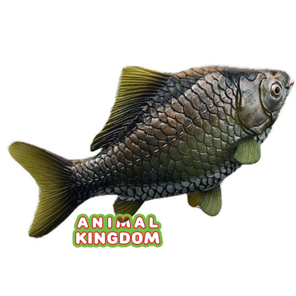 animal-kingdom-โมเดลสัตว์-ปลาตะเพียน-ขนาด-17-00-cm-จากสงขลา