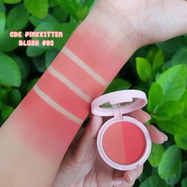 cde-pink-kitten-hyun-color-blush