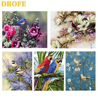 DROFE 【ขนาด : 50X40 ซม】~ ภาพวาดดอกไม้และนก~ พร้อมส่งภาพระบายสีตามตัวเลขของขวัญDIY/ paint by number / บ้านตกแต่ง / ตามหมายเลข / ภาพวาด DIY/ จิตรกรรมดิจิทัล / การวาดภาพดิจิทัล